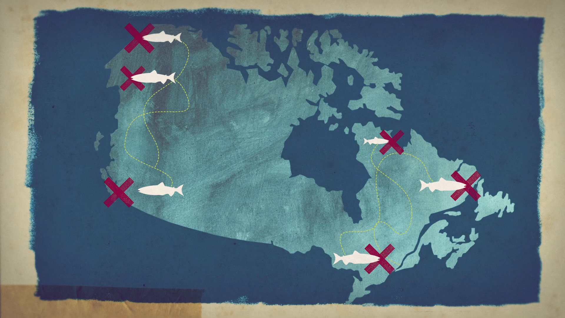 11_01m14_000s_canada-flow-map.png