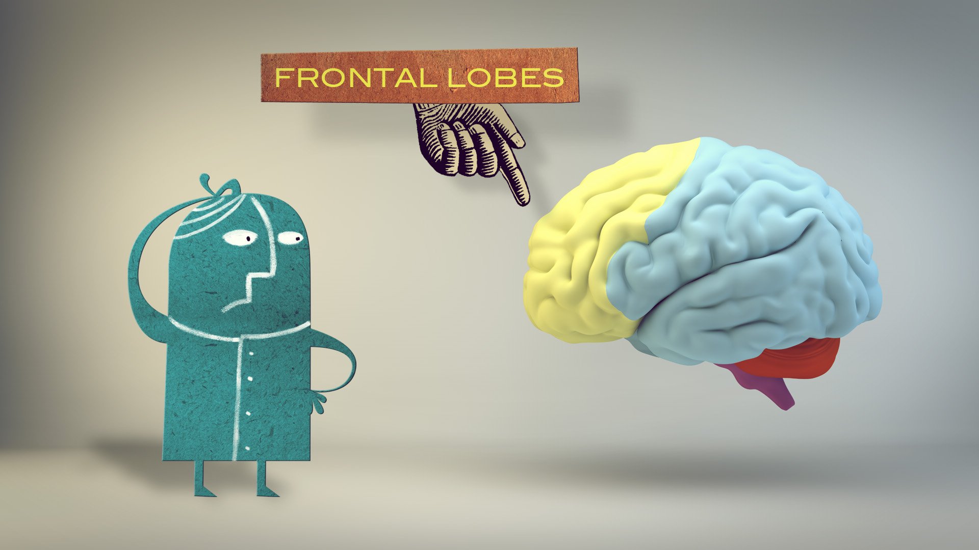 TED-Ed | 10% Of Your Brain