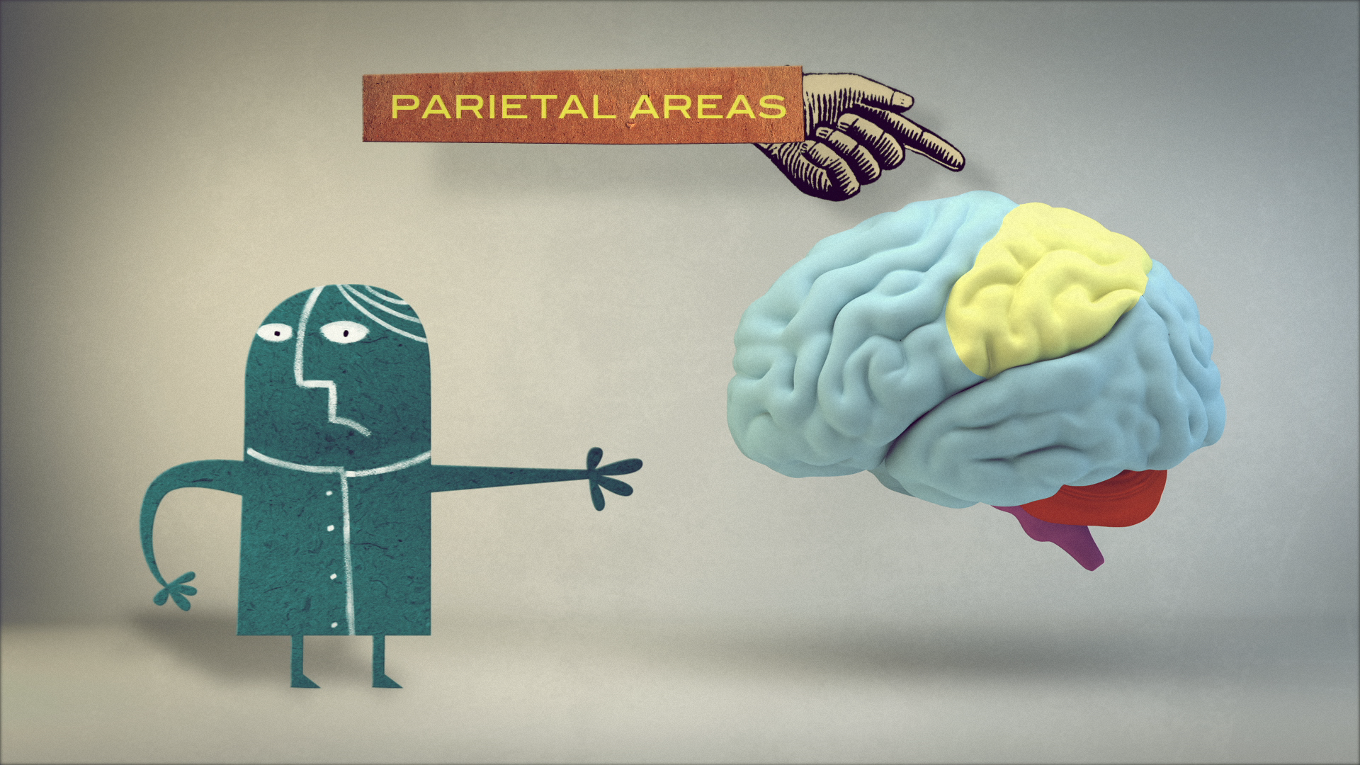 04_00m44_000s_frontal-lobes.png