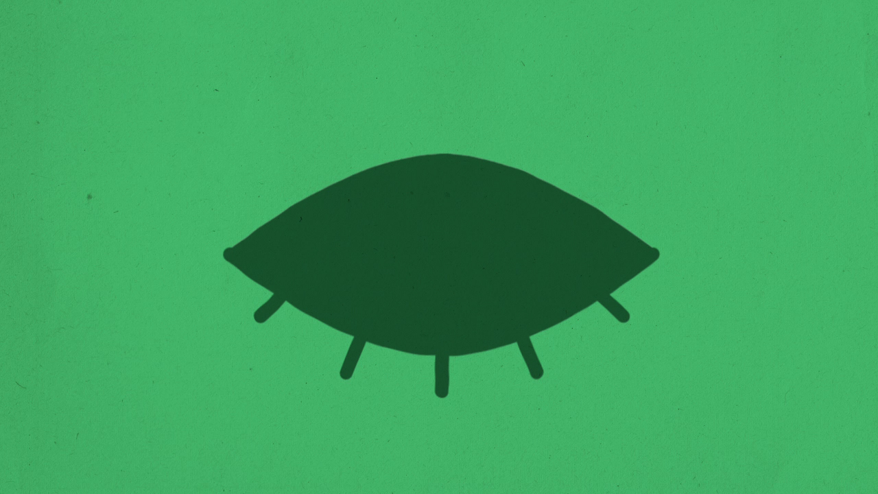 02_00m04_000s_watchful-eye.png
