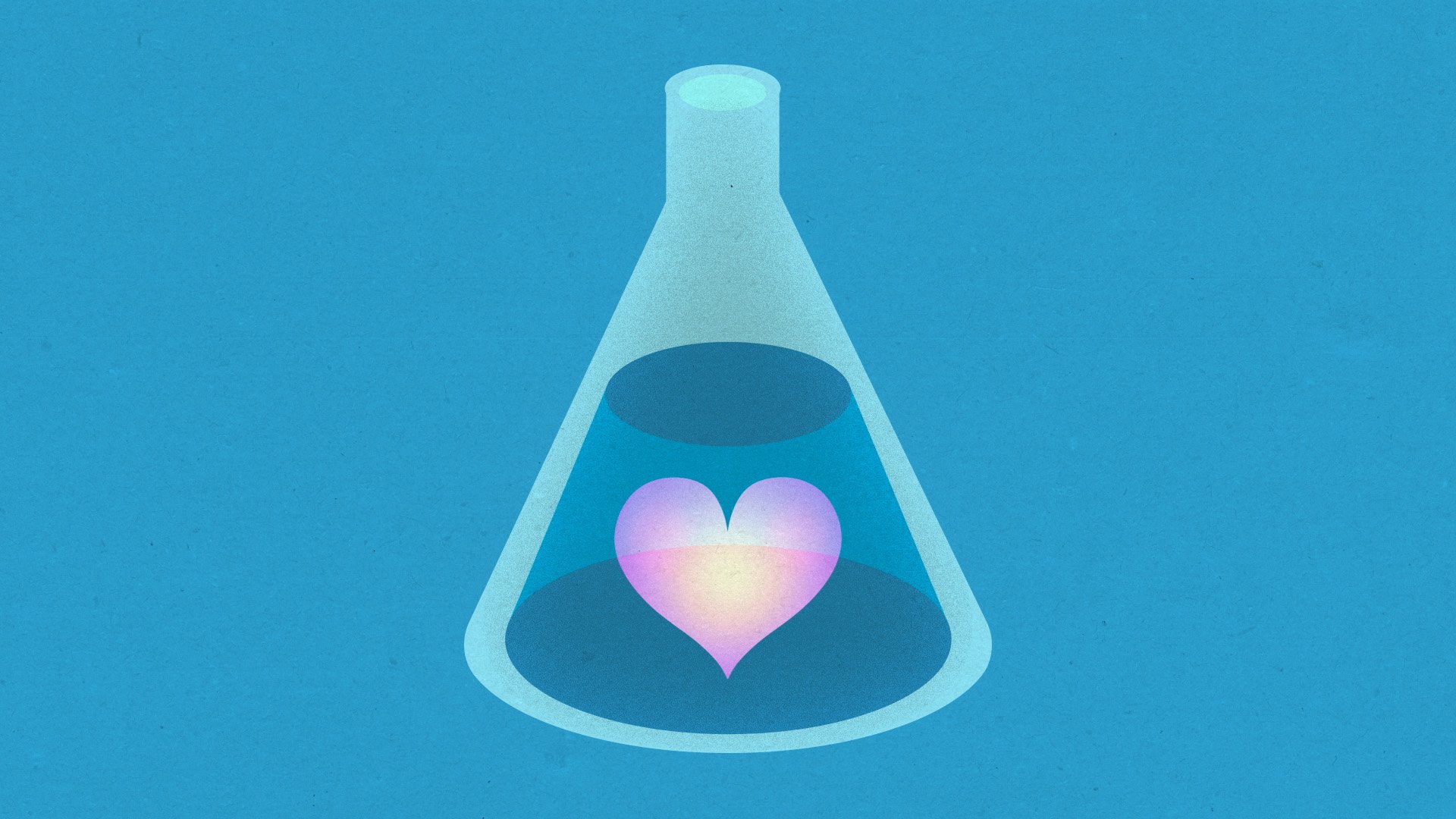 The_Science_Of_Attraction_3.jpg