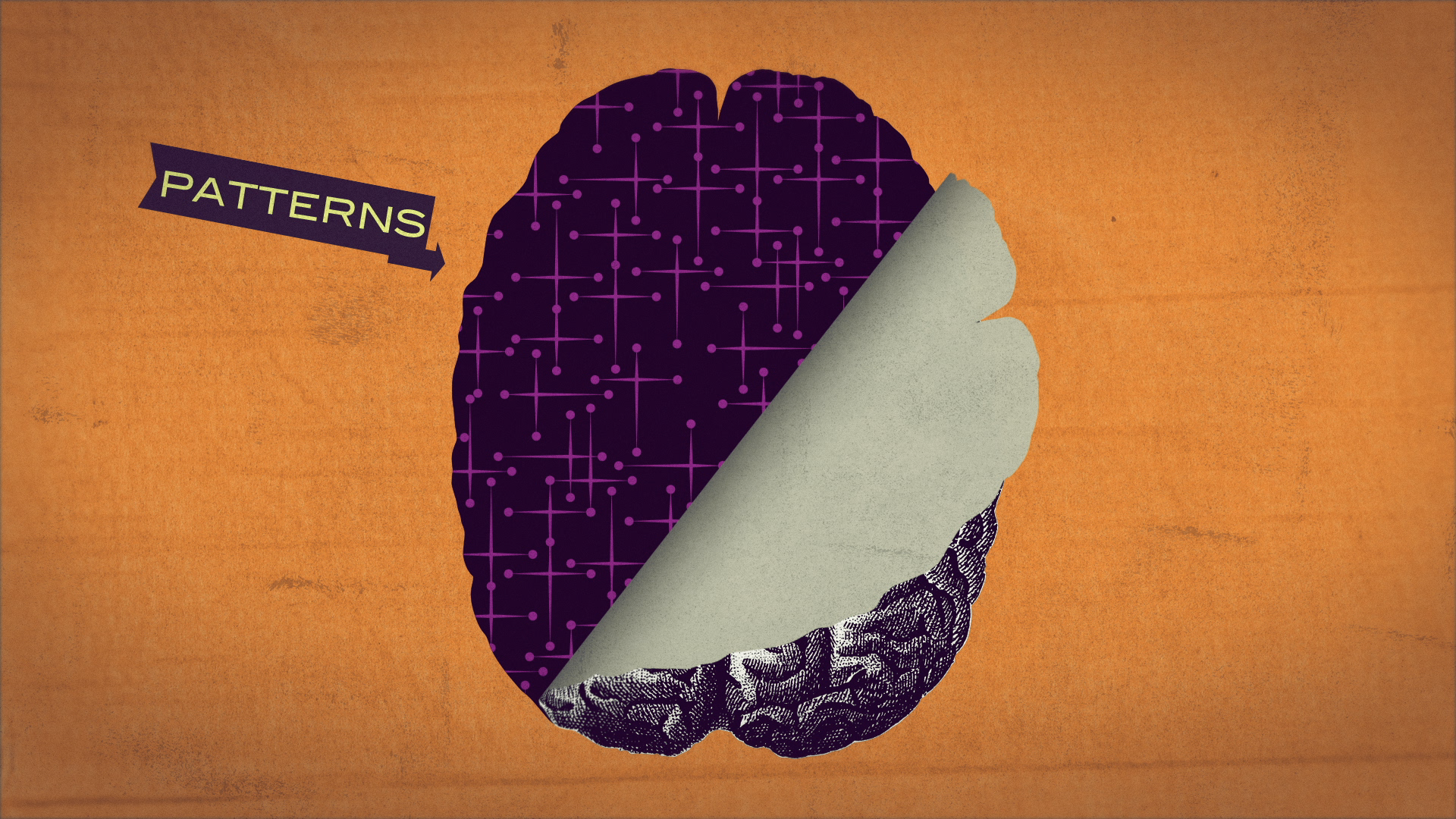 04_01m06_000s_brain-split.png