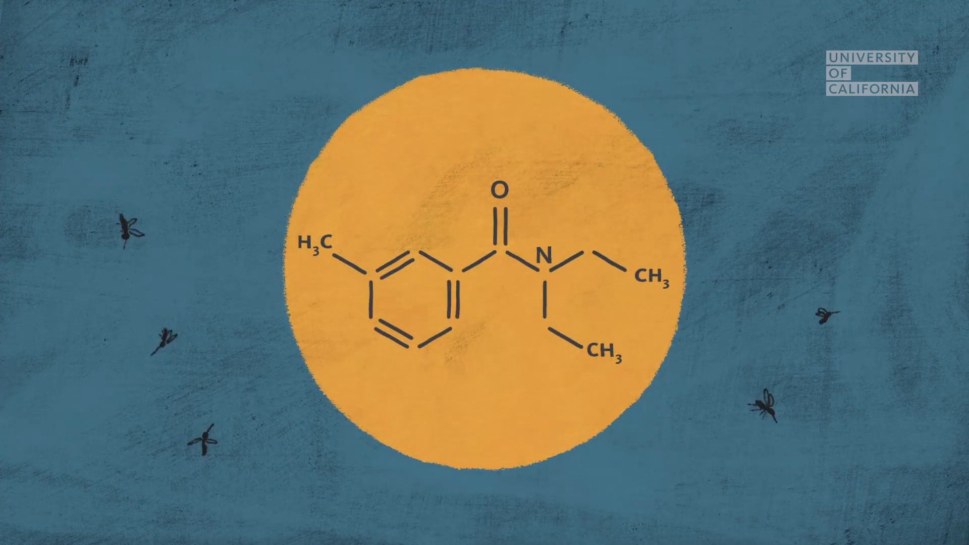 09_01m28_000s_deet-chemistry.png
