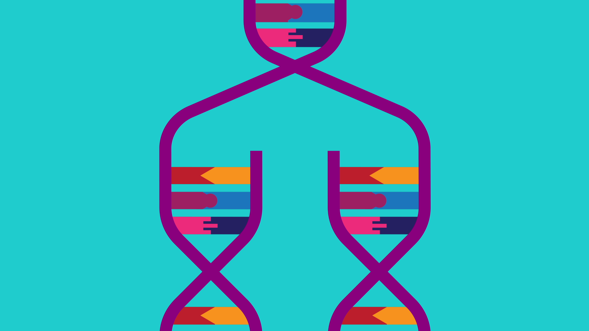 04_00m54_000s_dna-repair.png