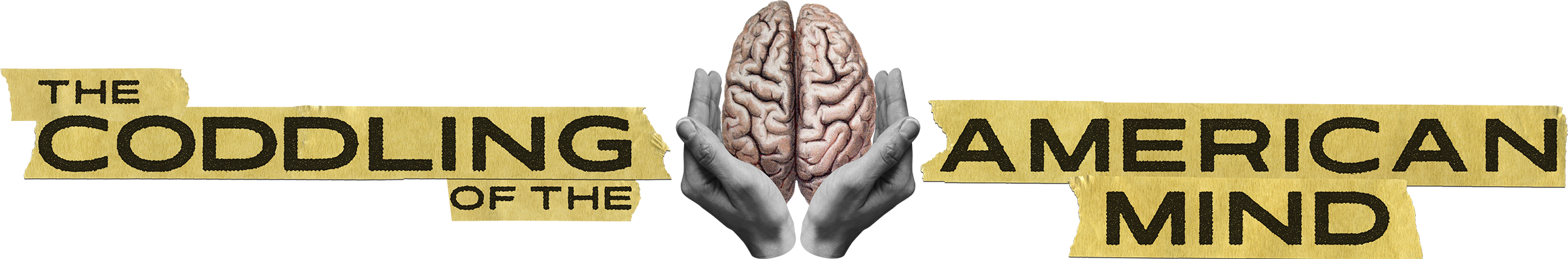 The Coddling of the American Mind Title