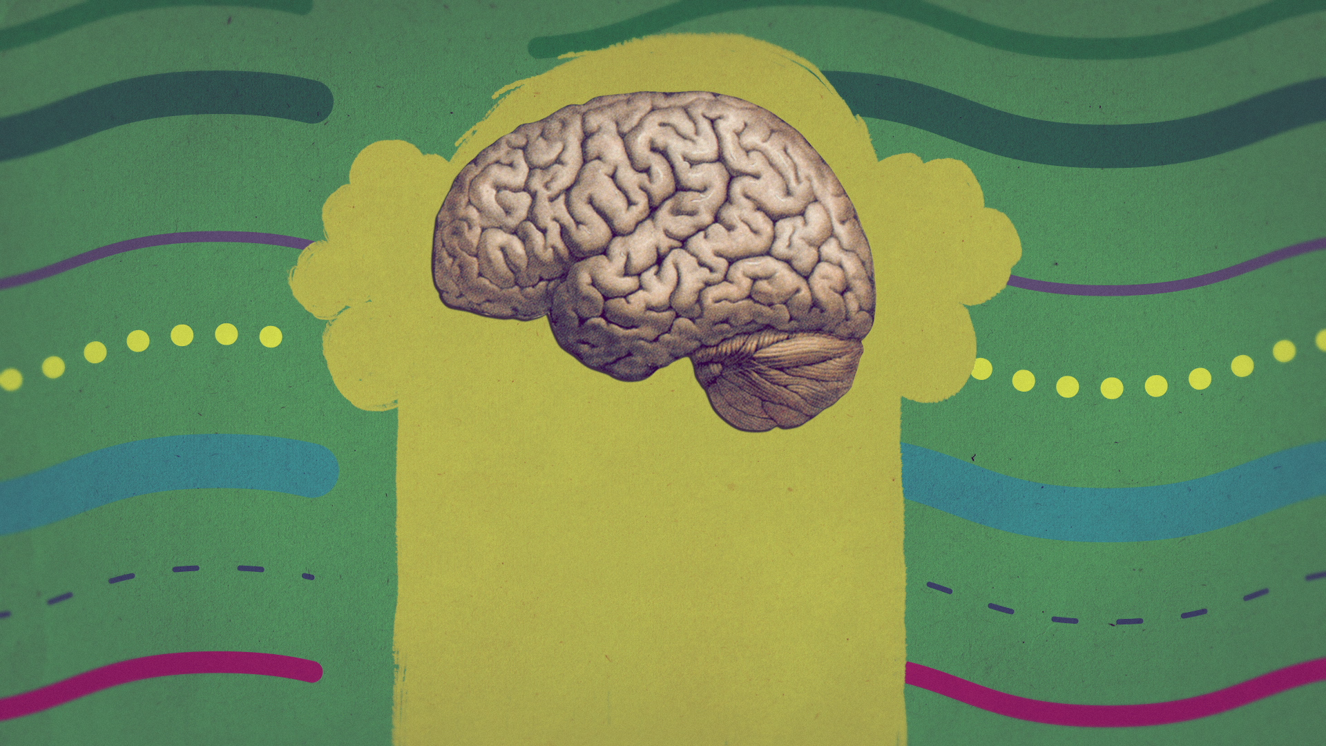 11_04m08_000s_brain-and-breathing.png