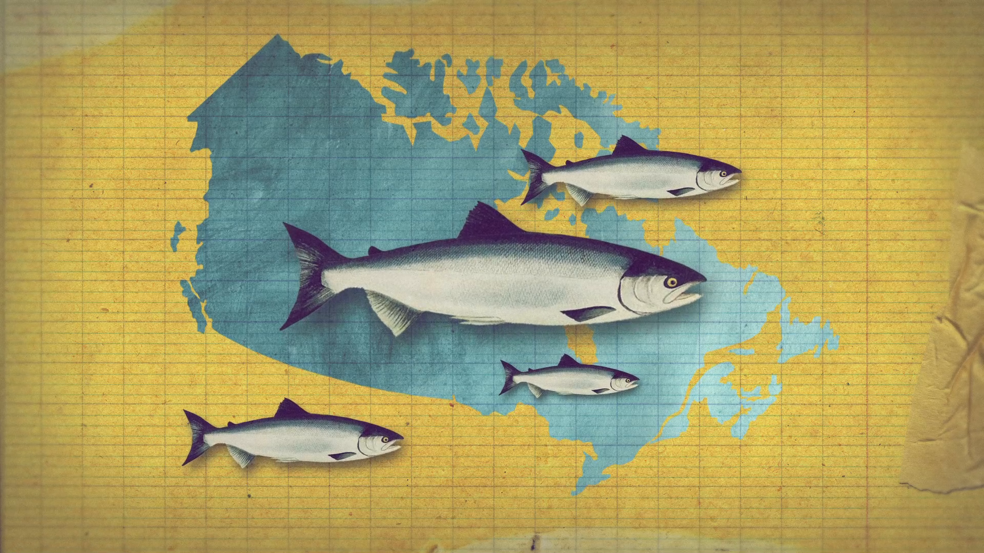 02_00m06_000s_salmon-map.png