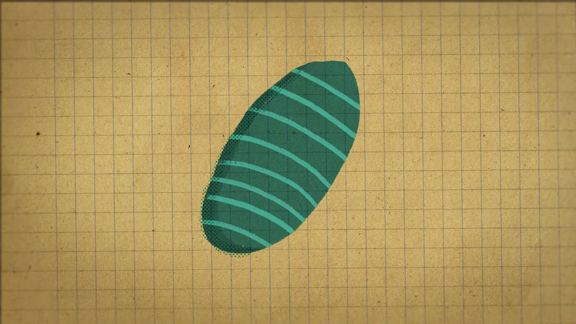 10_01m22_000s_cells.png