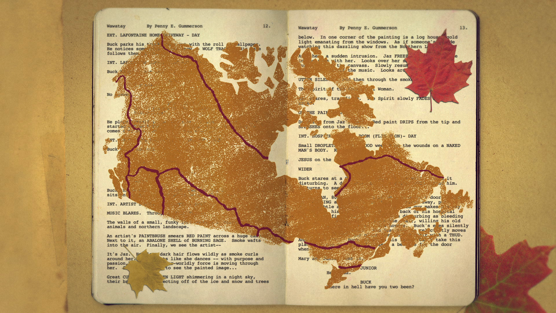09_00m48_000s_canada-map.png