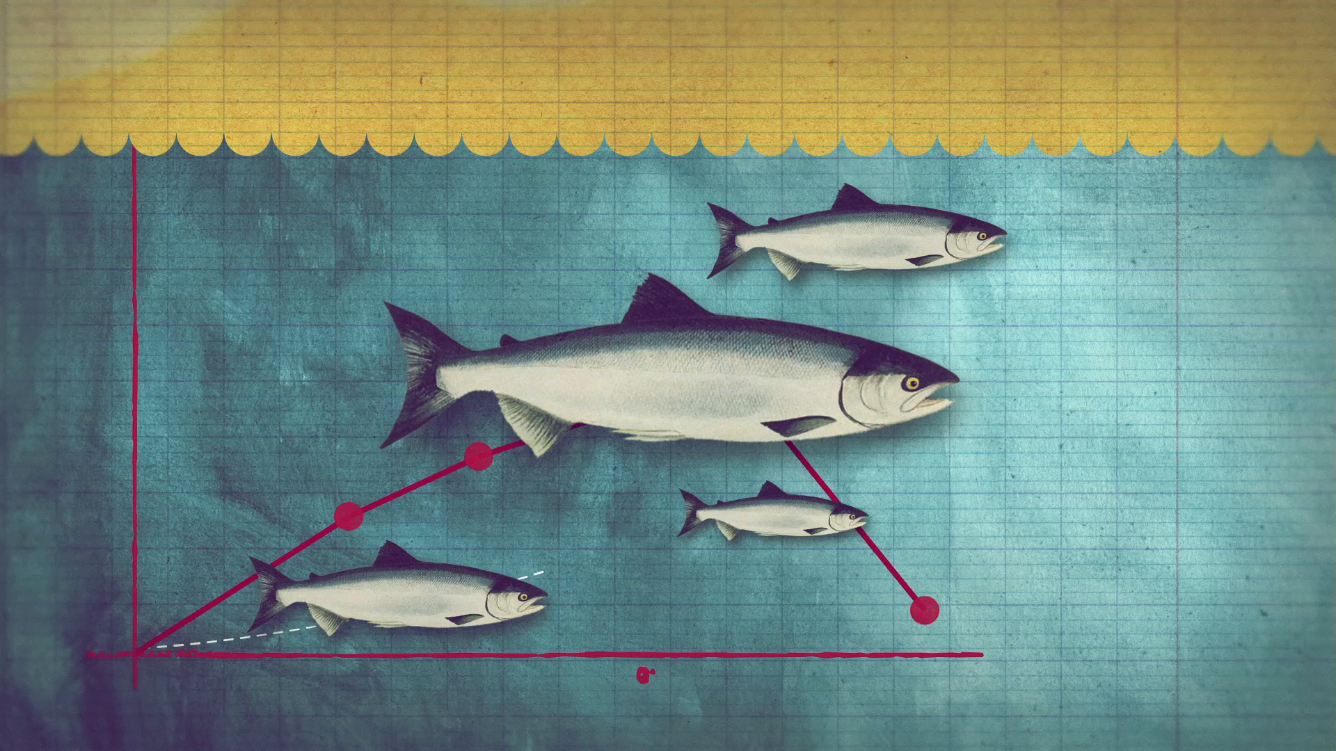 03_00m10_000s_canadian-waters.png