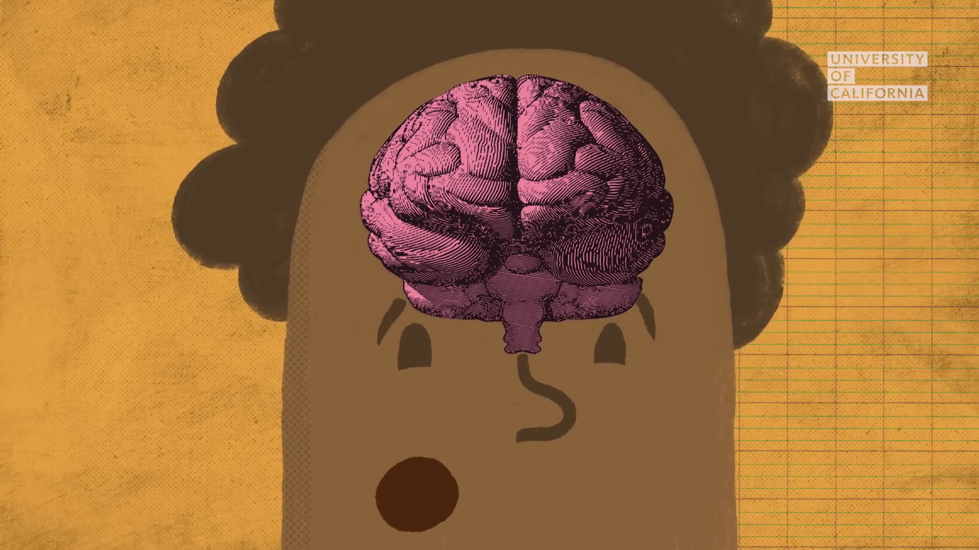 02_00m12_000s_brain-development.png