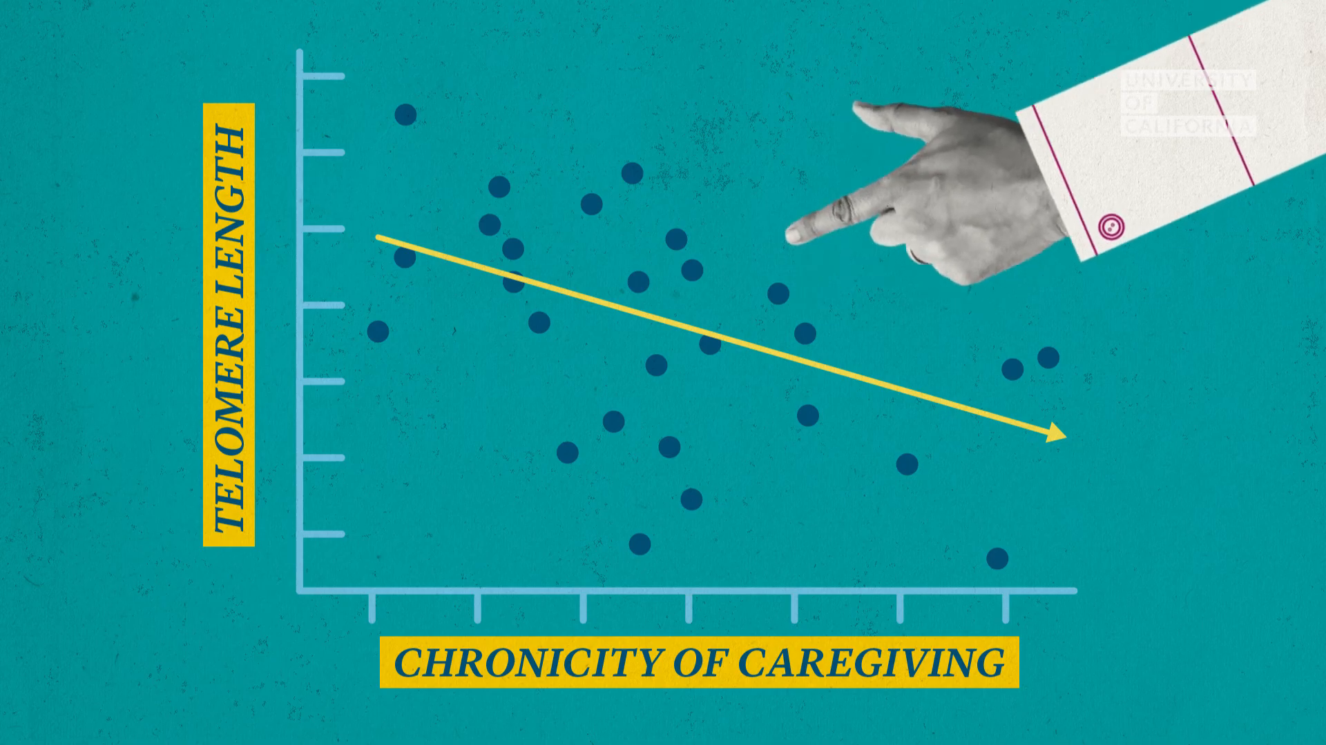 09_02m30_000s_caregiving-graph.png