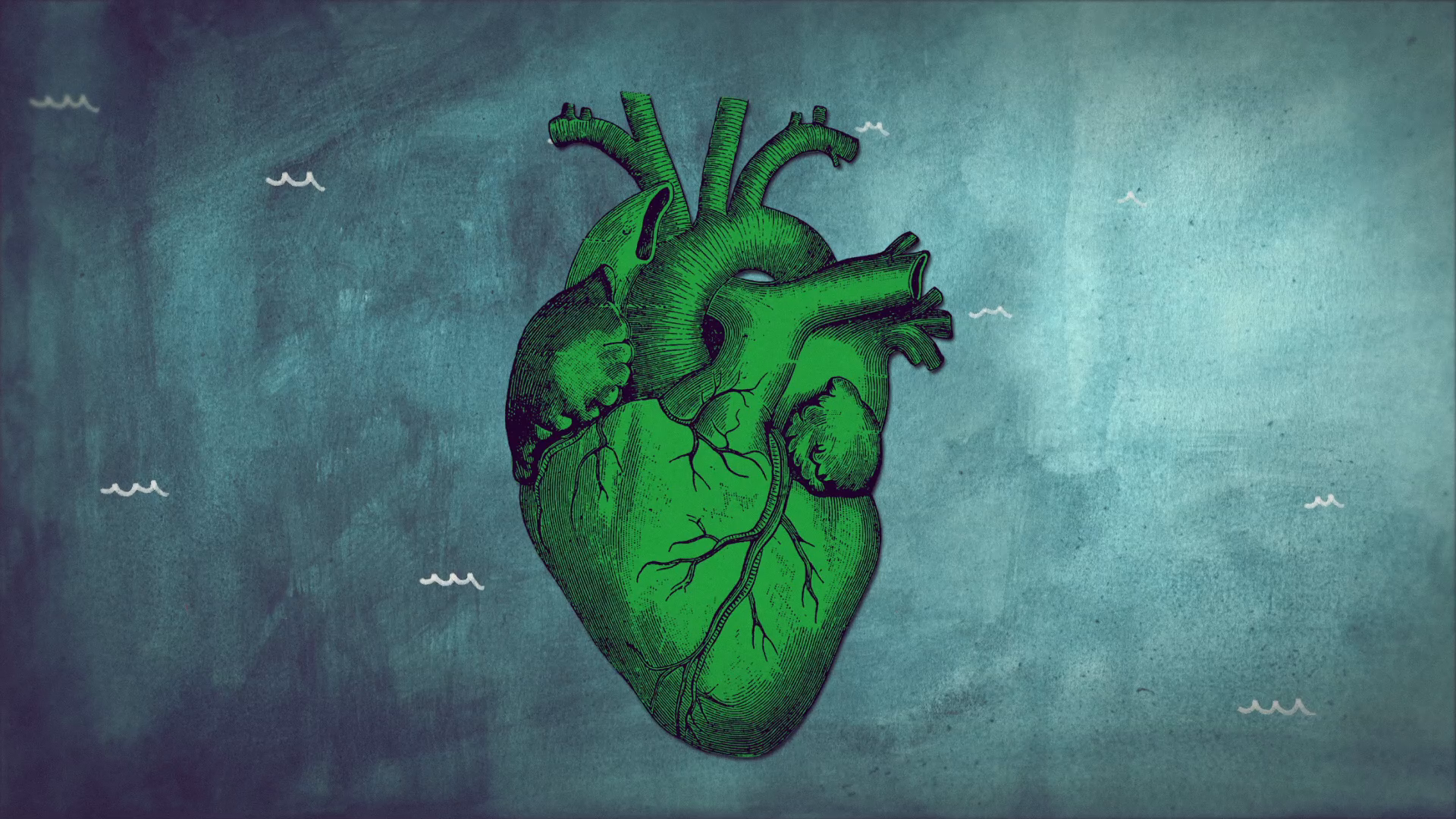12_01m36_000s_freshwater-heart.png