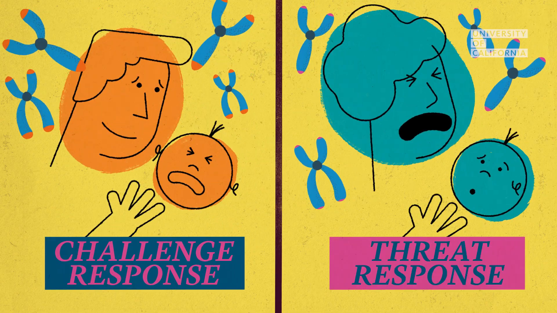 11_03m10_000s_challenge-vs-threat.png