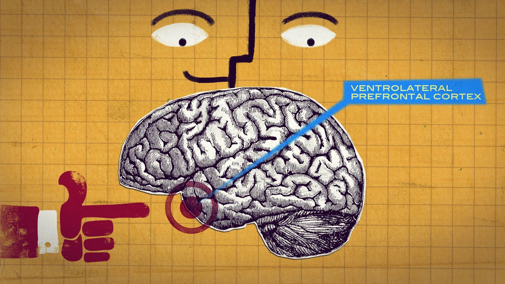 TED-Ed_First_Impressions_Frame_33.jpg