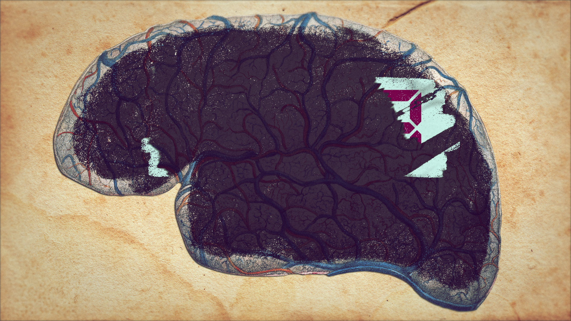 05_01m20_000s_brain-network.png