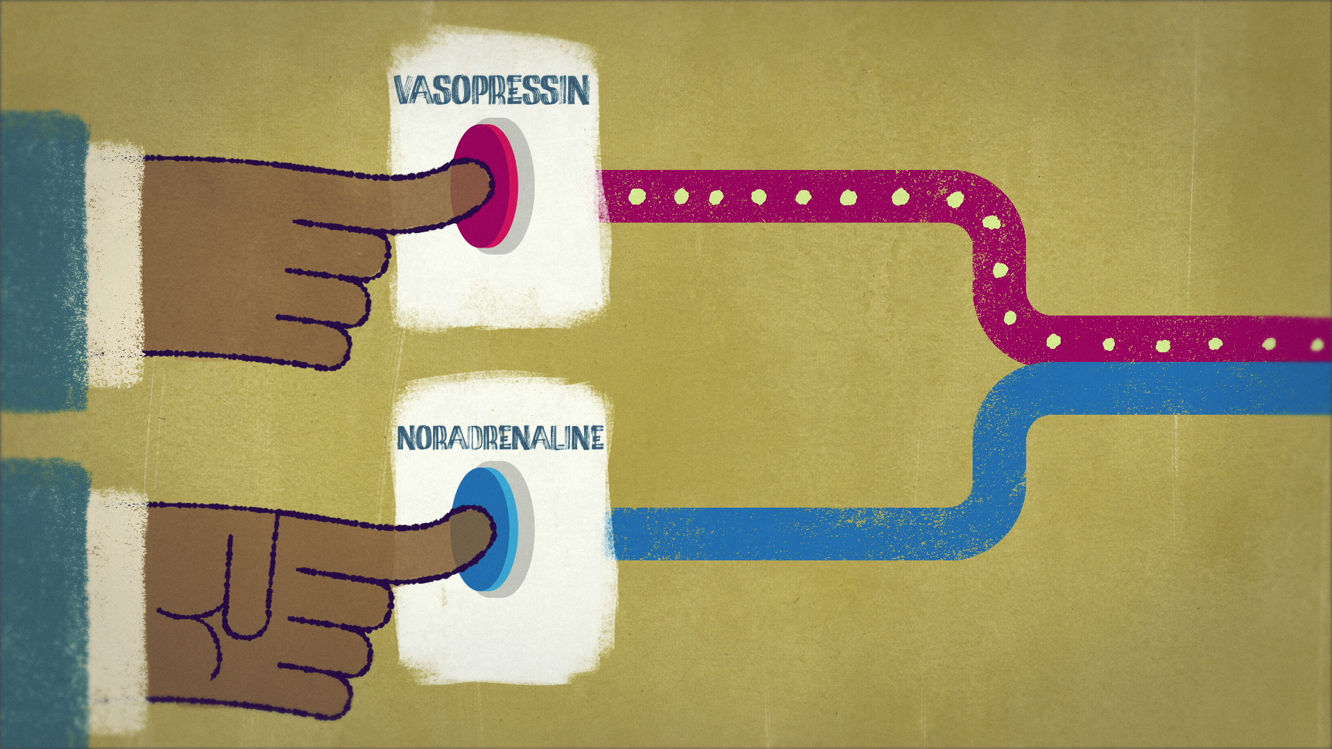 09_03m08_000s_melatonin-switch.png