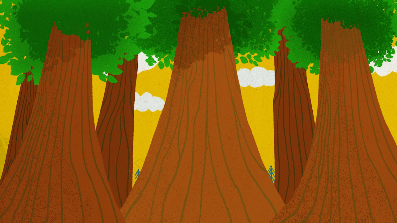 07_00m54_000s_forest.png