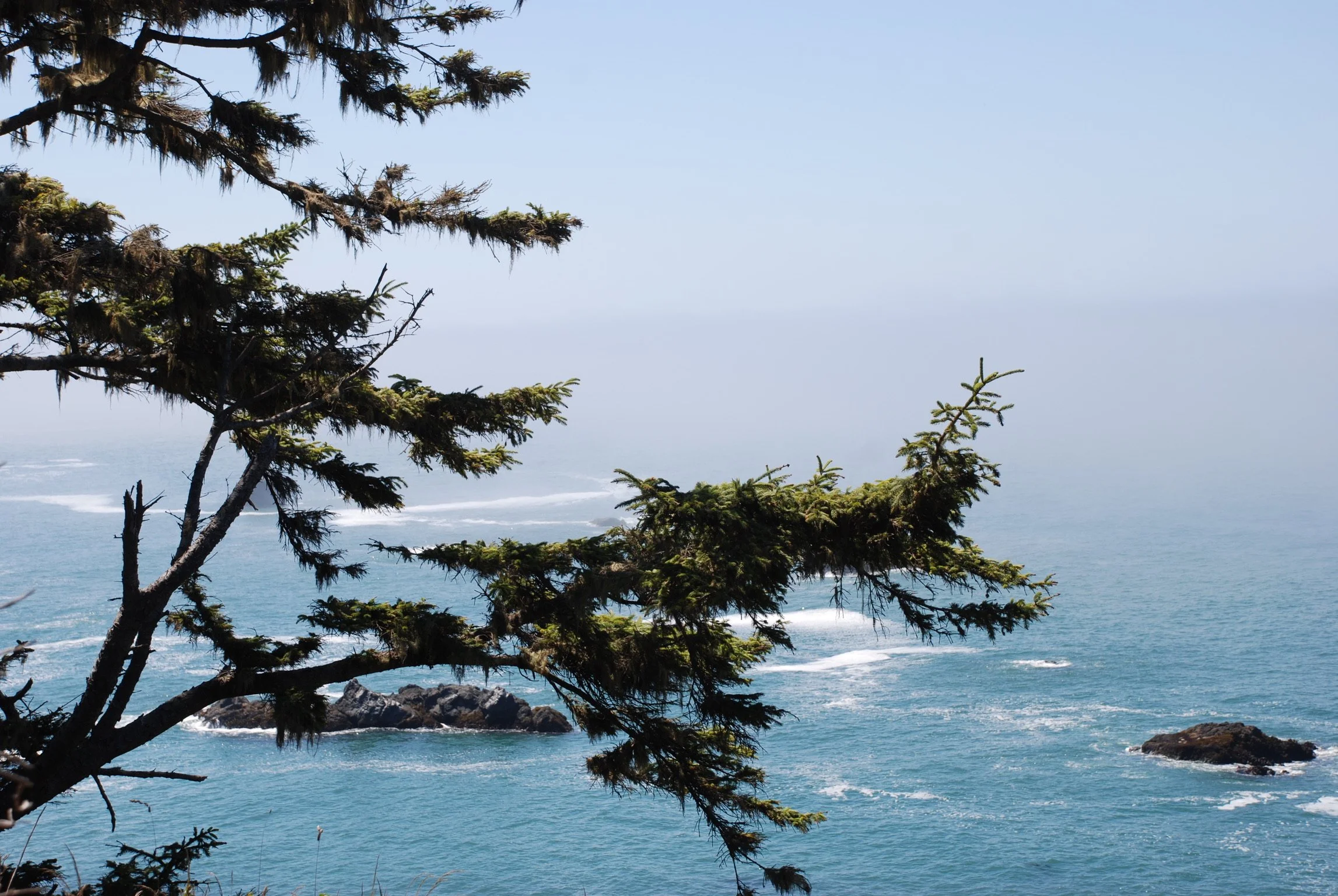 DSC_0682.JPG
