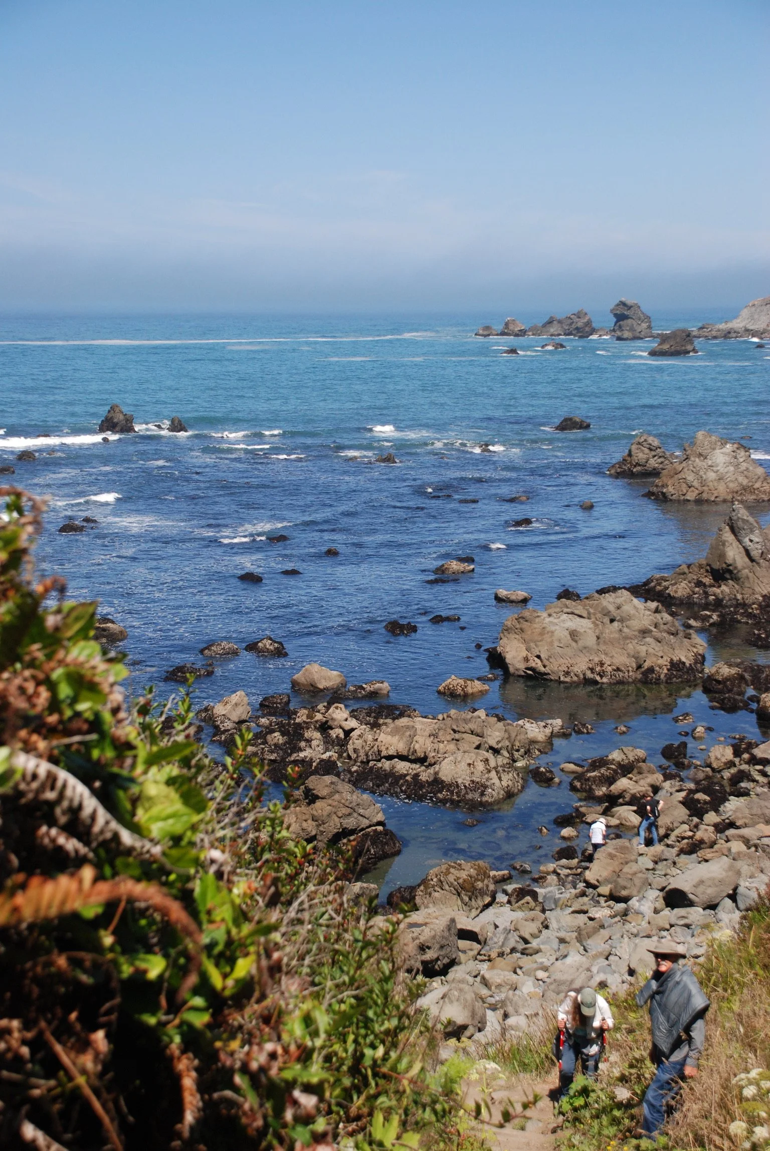 DSC_0707.JPG