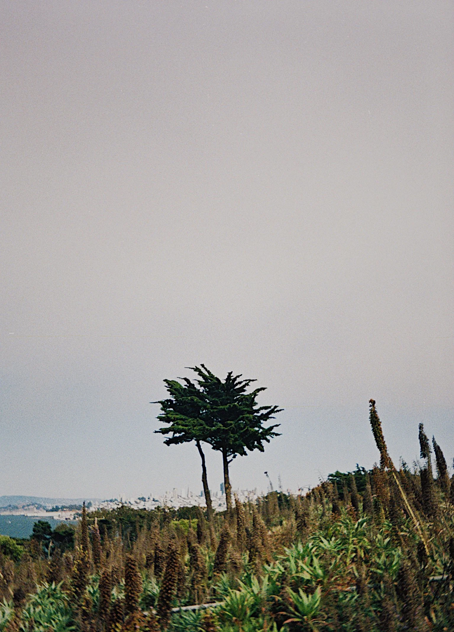 IMG_1306_VSCO.jpg