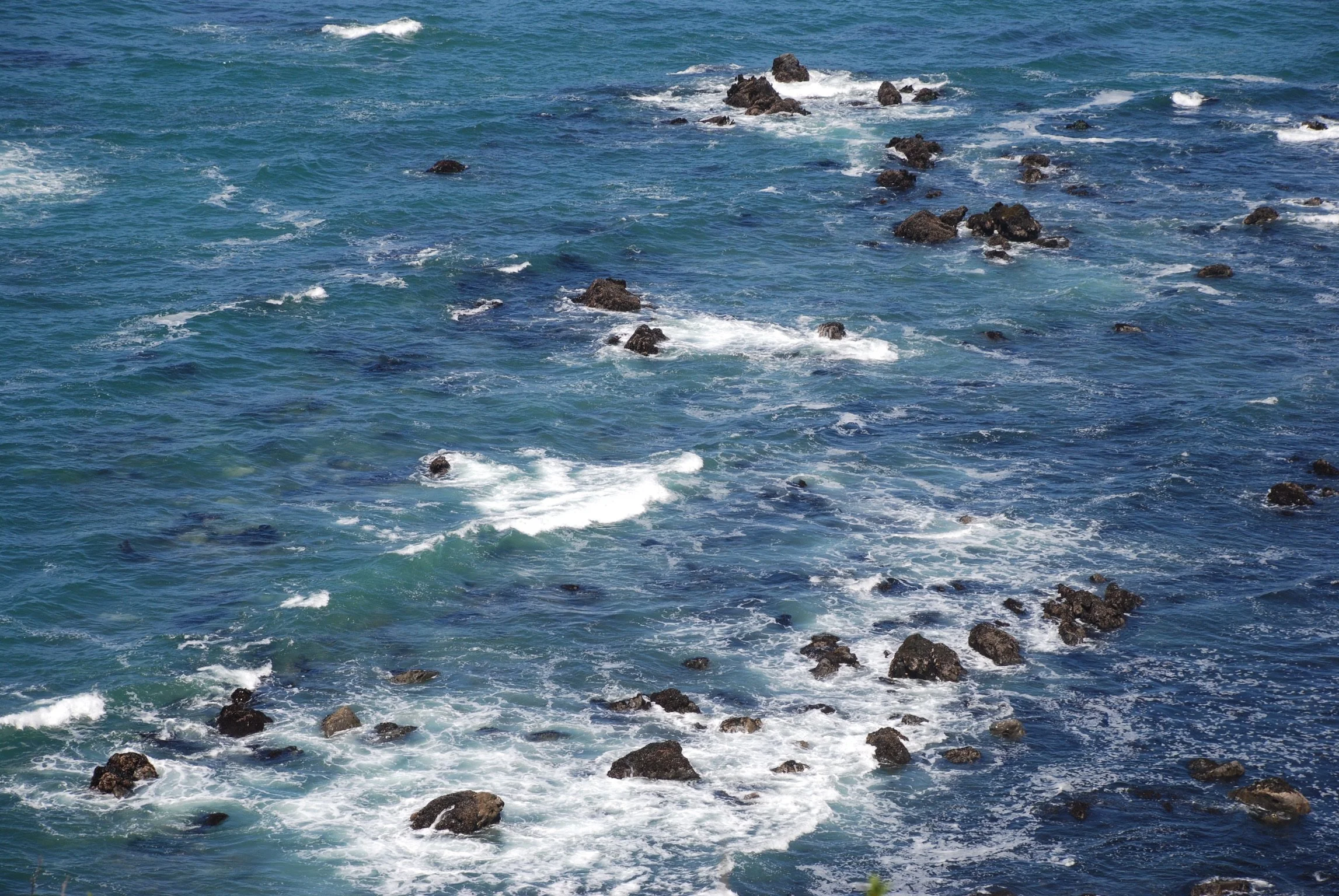 DSC_0671.JPG