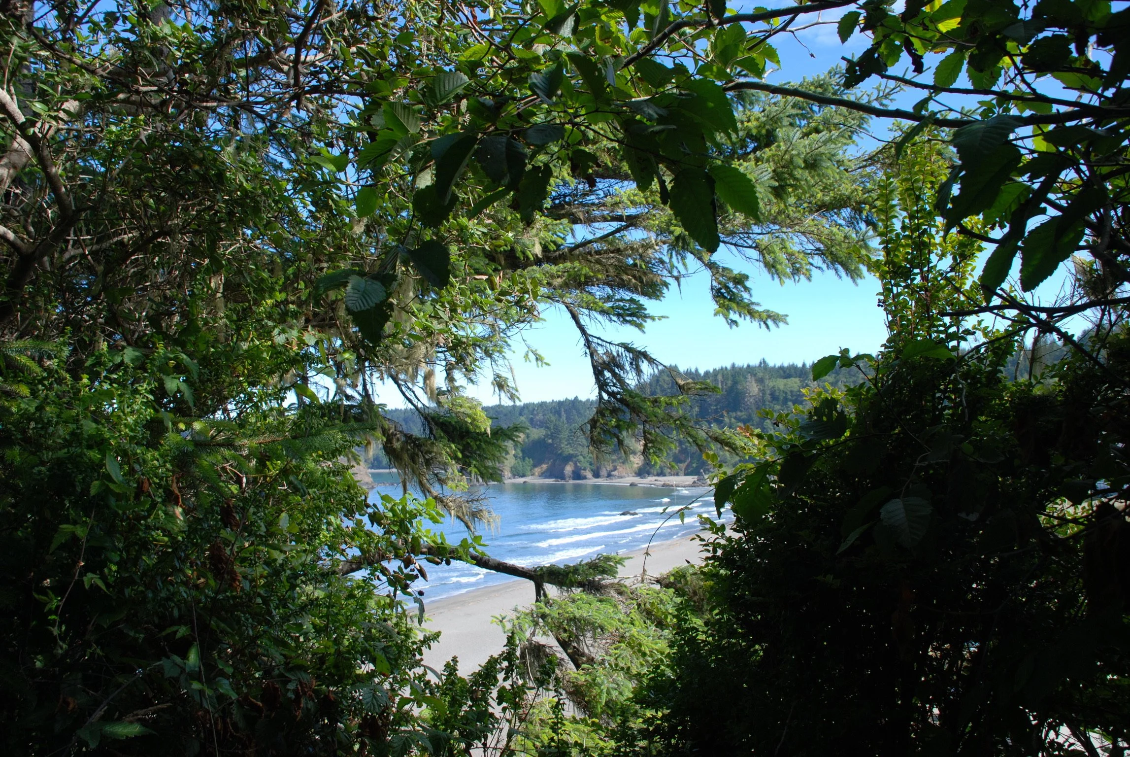 DSC_0748.JPG