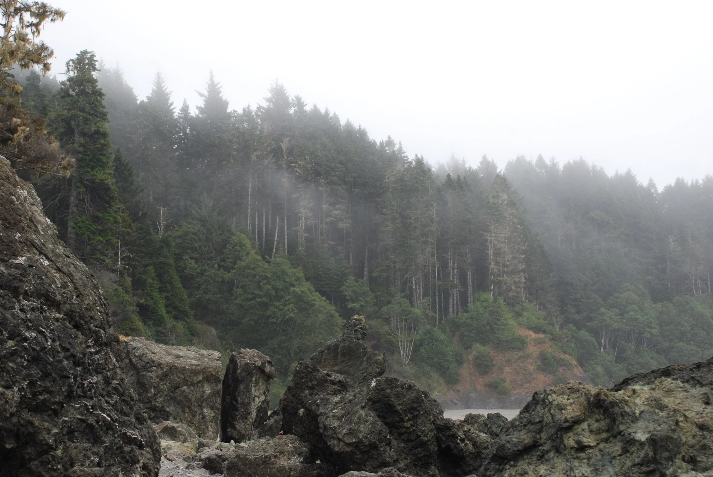 DSC_0604.JPG