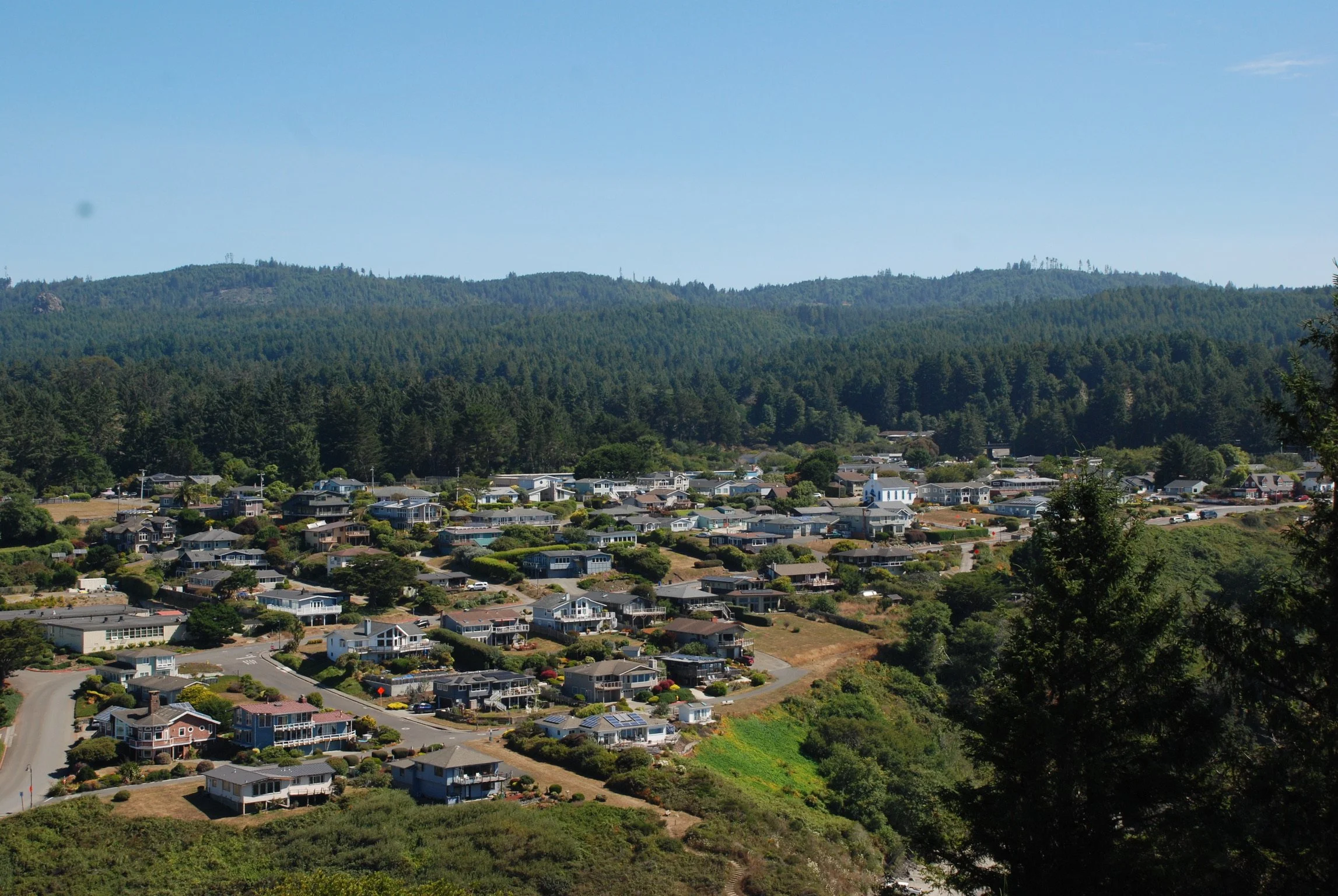 DSC_0772.JPG