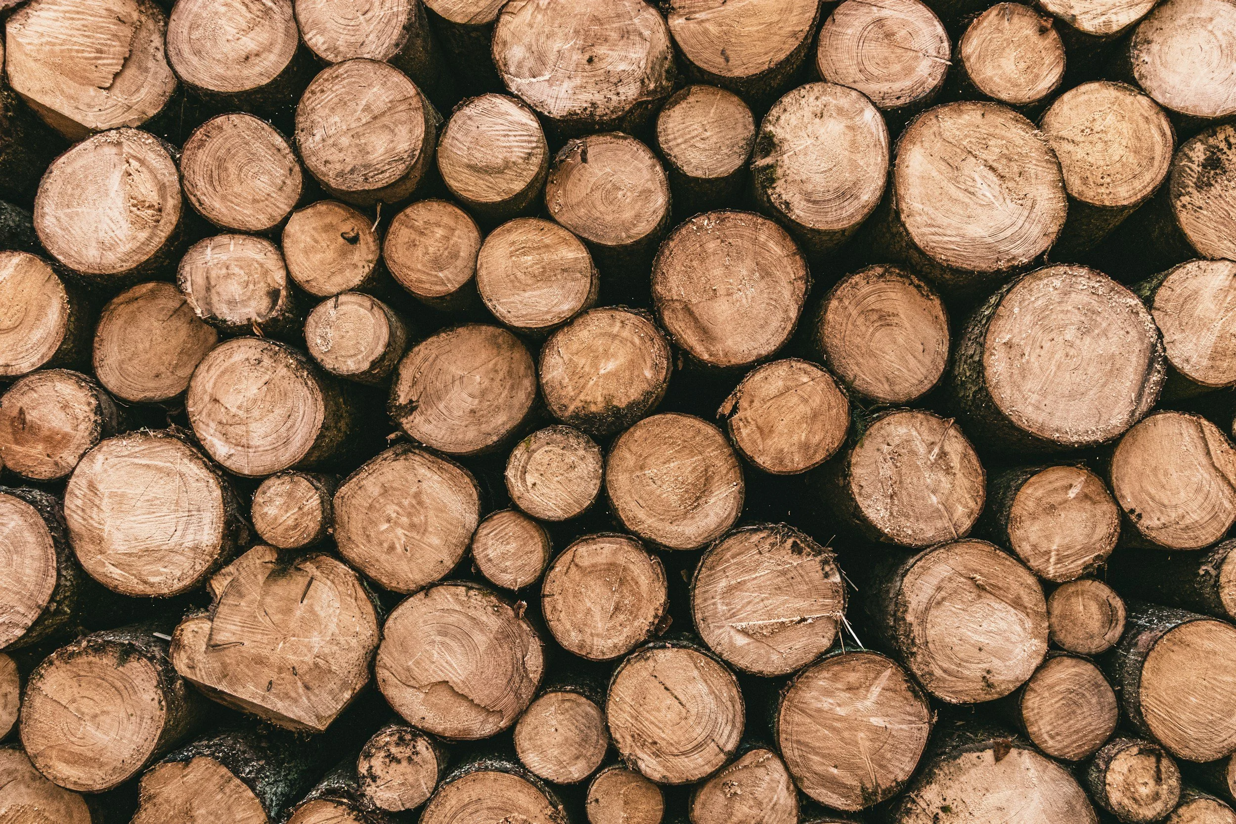 Stack of cut logs arranged with the cross sections facing outward, showing the tree rings.