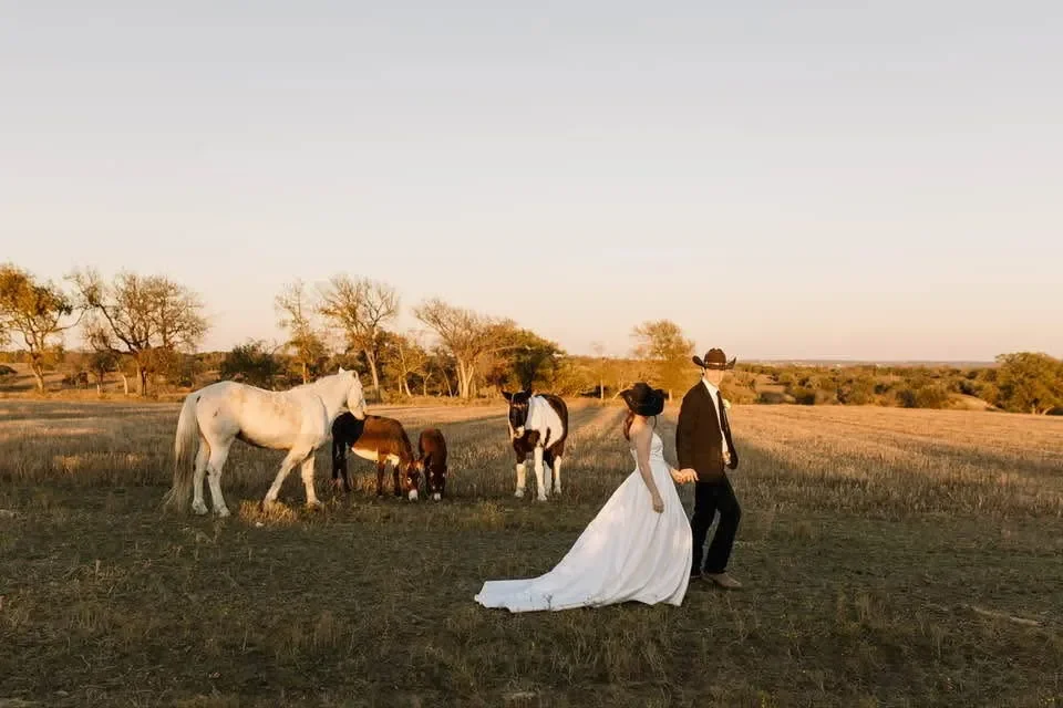 A bride and groom walking hand in hand across a field at sunset with horses grazing nearby.