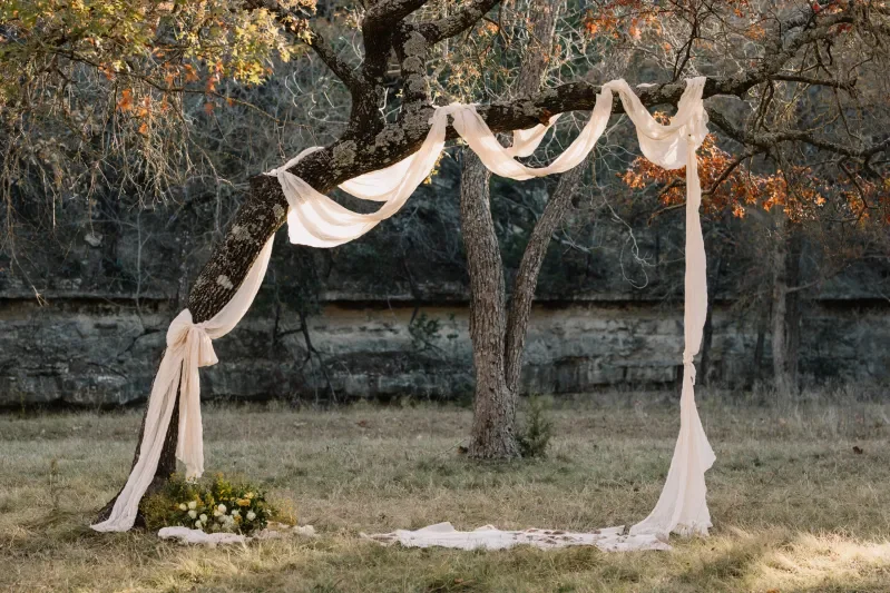 Decorative white fabric draped over a tree in an outdoor setting for a wedding or event.