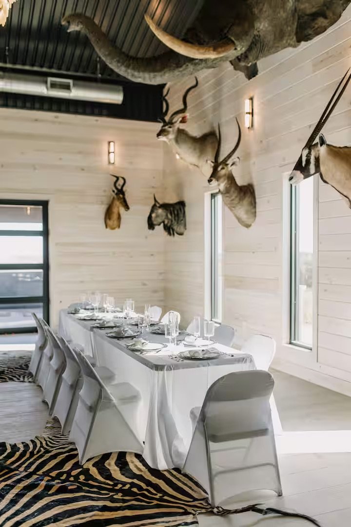 A dining room with a long white table set with silverware, glasses, and napkins. Mounted animal heads, including antelopes and a gazelle, are displayed on the light-colored wooden wall. The room has three vertical windows and a zebra-print rug on the