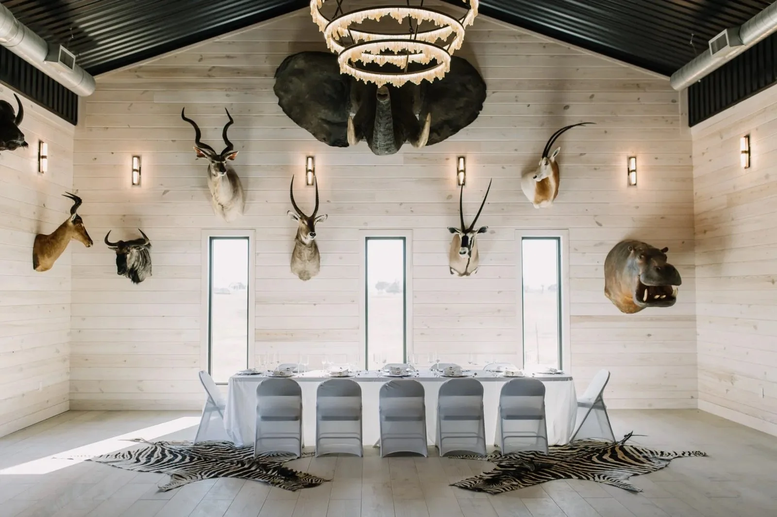 A dining room with a long table covered with a white tablecloth, set with plates and glasses. The room's walls are light-colored wood paneling with several mounted animal heads, including antelopes and a big bear head. A zebra-patterned rug is on the floor, and a large chandelier hangs from the ceiling.