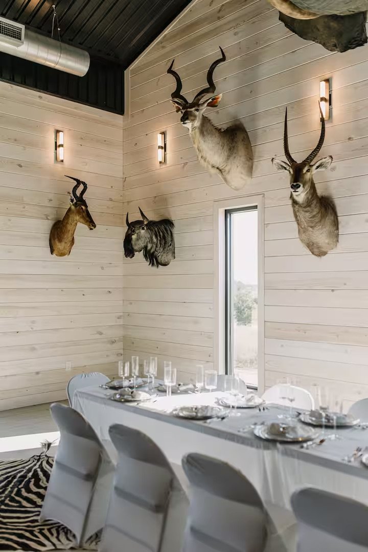 A dining room with mounted animal heads on the wall, including antelope and kudu, in a rustic style with white wood paneling and modern lighting.