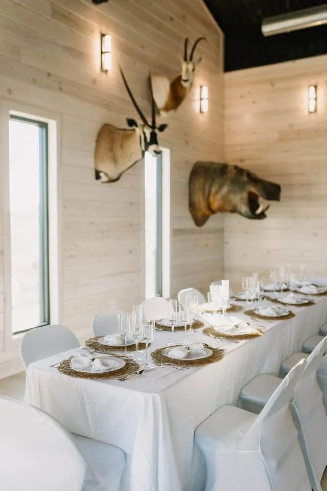 A dining table set with white plates, glasses, and gold placemats, with mounted animal heads on the wooden wall in a rustic-style dining room.