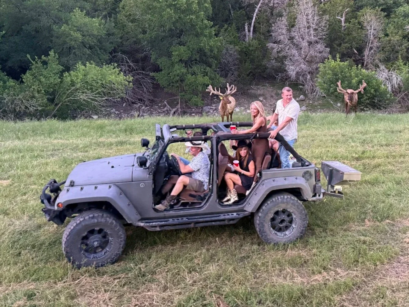 A group of five people enjoying a ride in an open-air vehicle in a grassy field, with two elk in the background near a wooded area.