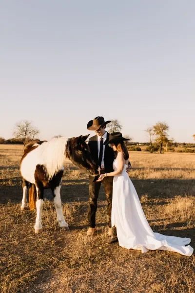 A couple dressed in wedding attire standing in a field, with a horse, during sunset or sunrise.