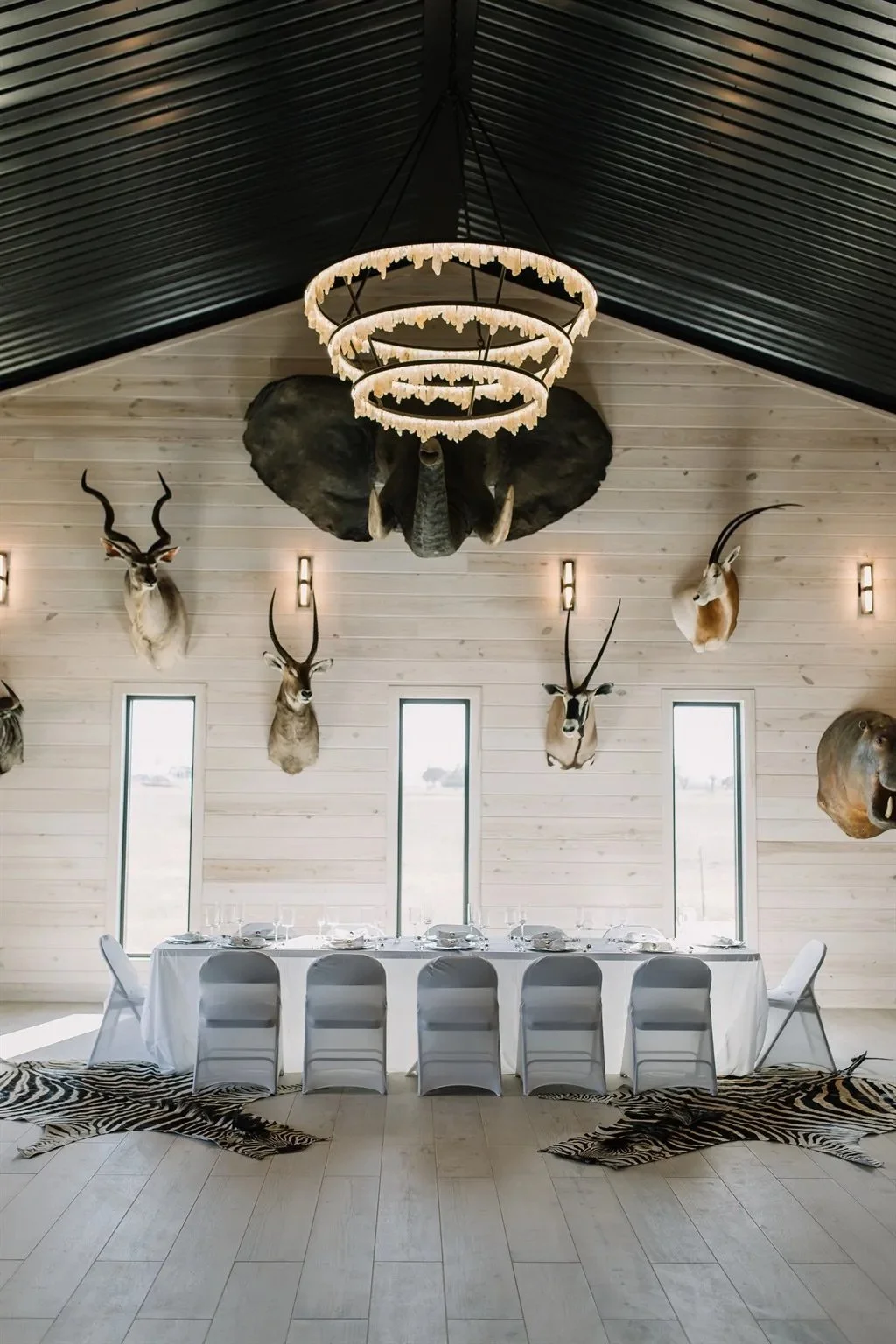 Interior of a room with mounted animal heads, including an elephant, antelopes, and others, hanging on a light-colored wood-paneled wall. A large decorative chandelier hangs from the ceiling. A long table with white chairs and tableware is set in front of the wall. Zebra skins are on the floor beneath the table.