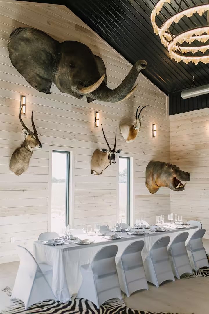 A dining area with a deer head, an antelope head, an elephant head, and a hippopotamus head mounted on a light-colored wooden wall. The table is set with plates, glasses, and silverware, with white chairs and zebra-patterned rugs on the floor.
