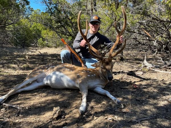 A man kneels behind a large dead deer with antlers, holding the antlers, in a wooded area during daytime.