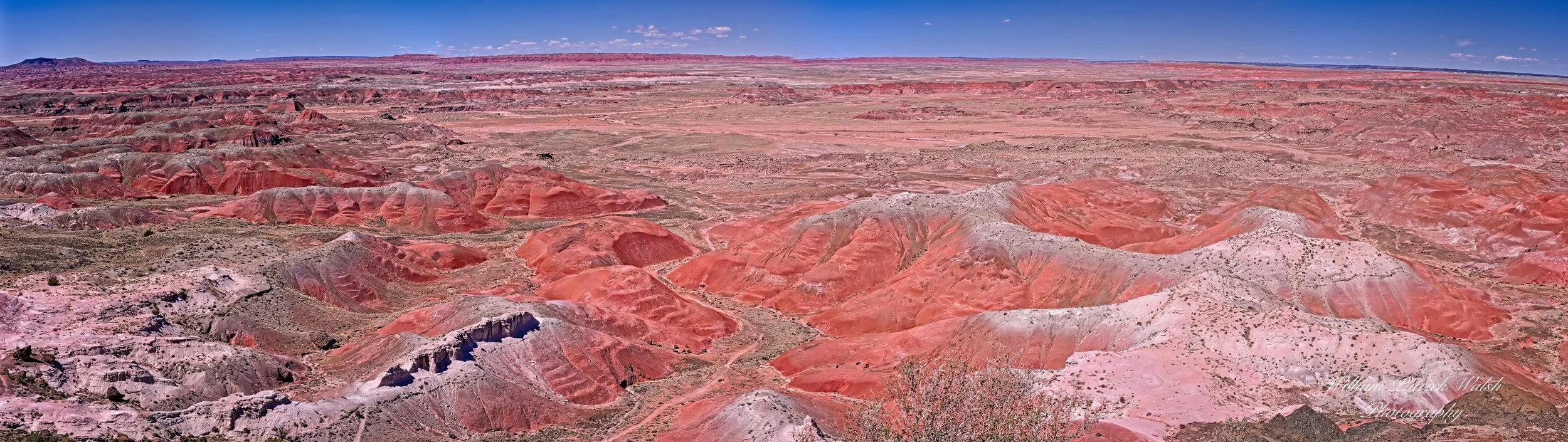 Panama Red (22x78 panoramic)