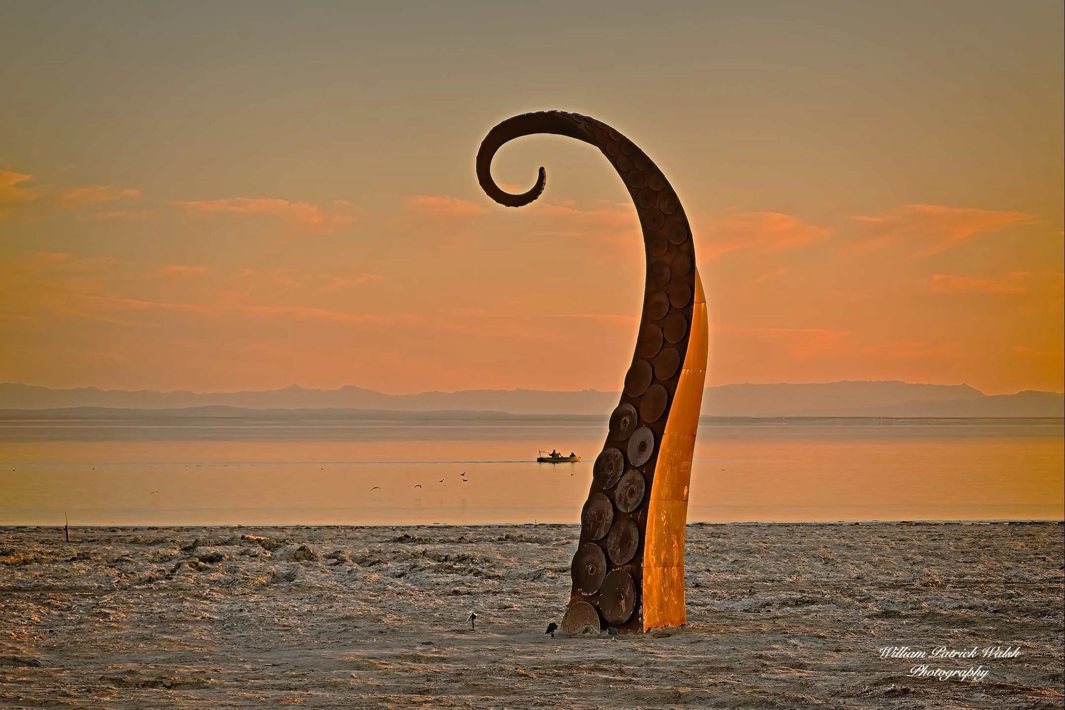 Beach Hook (12x18)