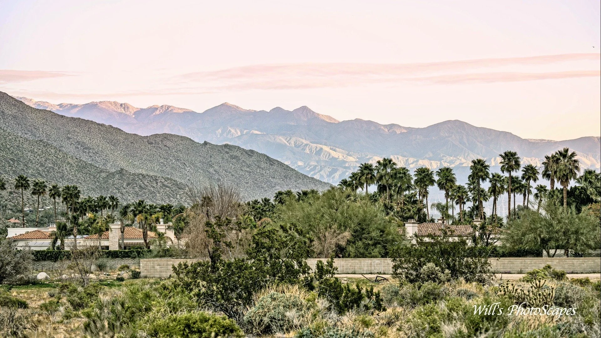 Andreas Canyon Morning Horizon (9x16)
