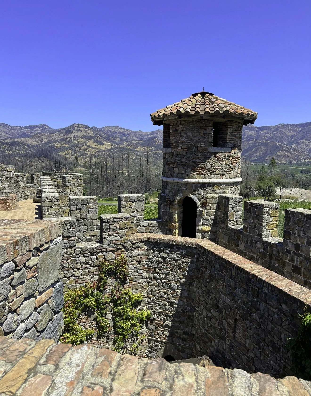 View From Castello di Amorosa (14x11)