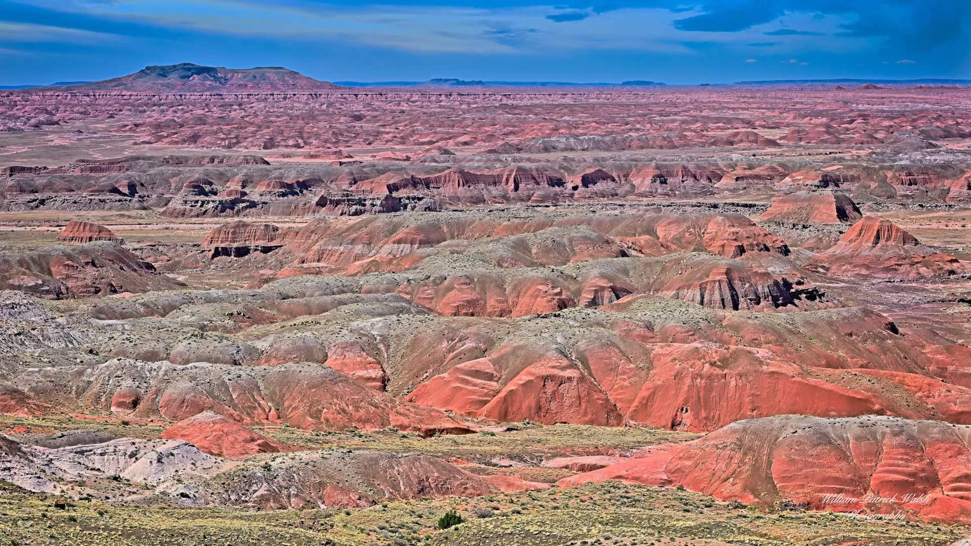 Painted Desert Glory (9x16)