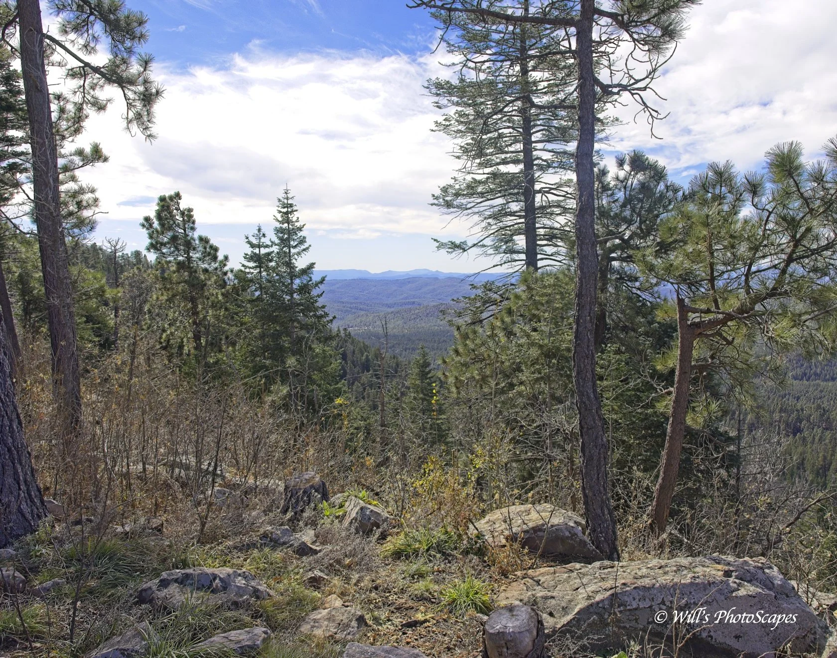 Mogollan Rim View (11x14)
