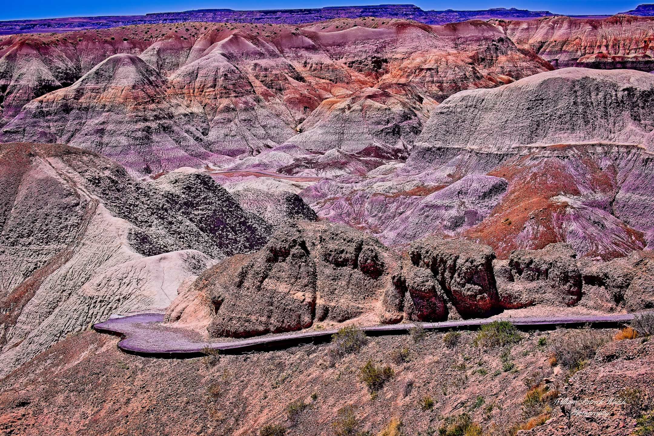 Hiking the Blue Mesa (12x18)