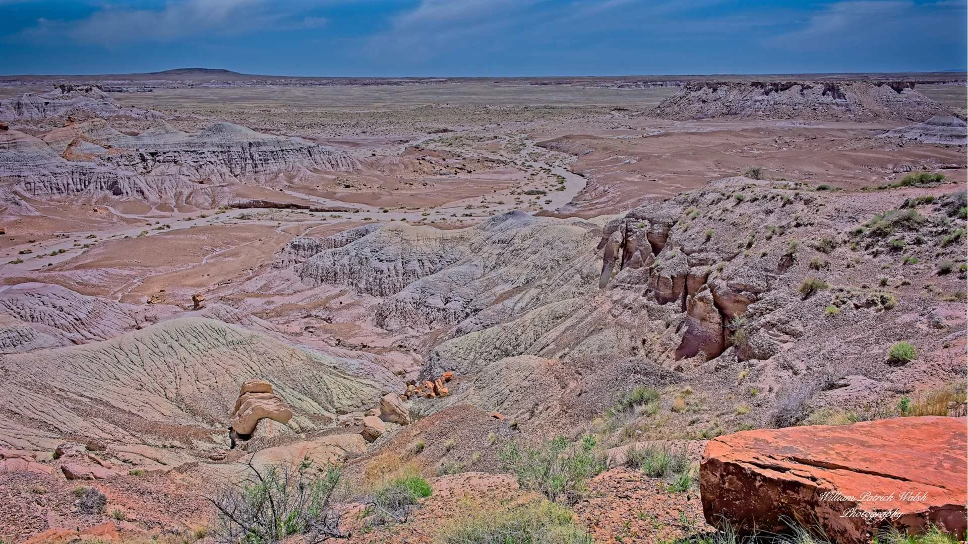 Petrified Forest Landscape (9x16)