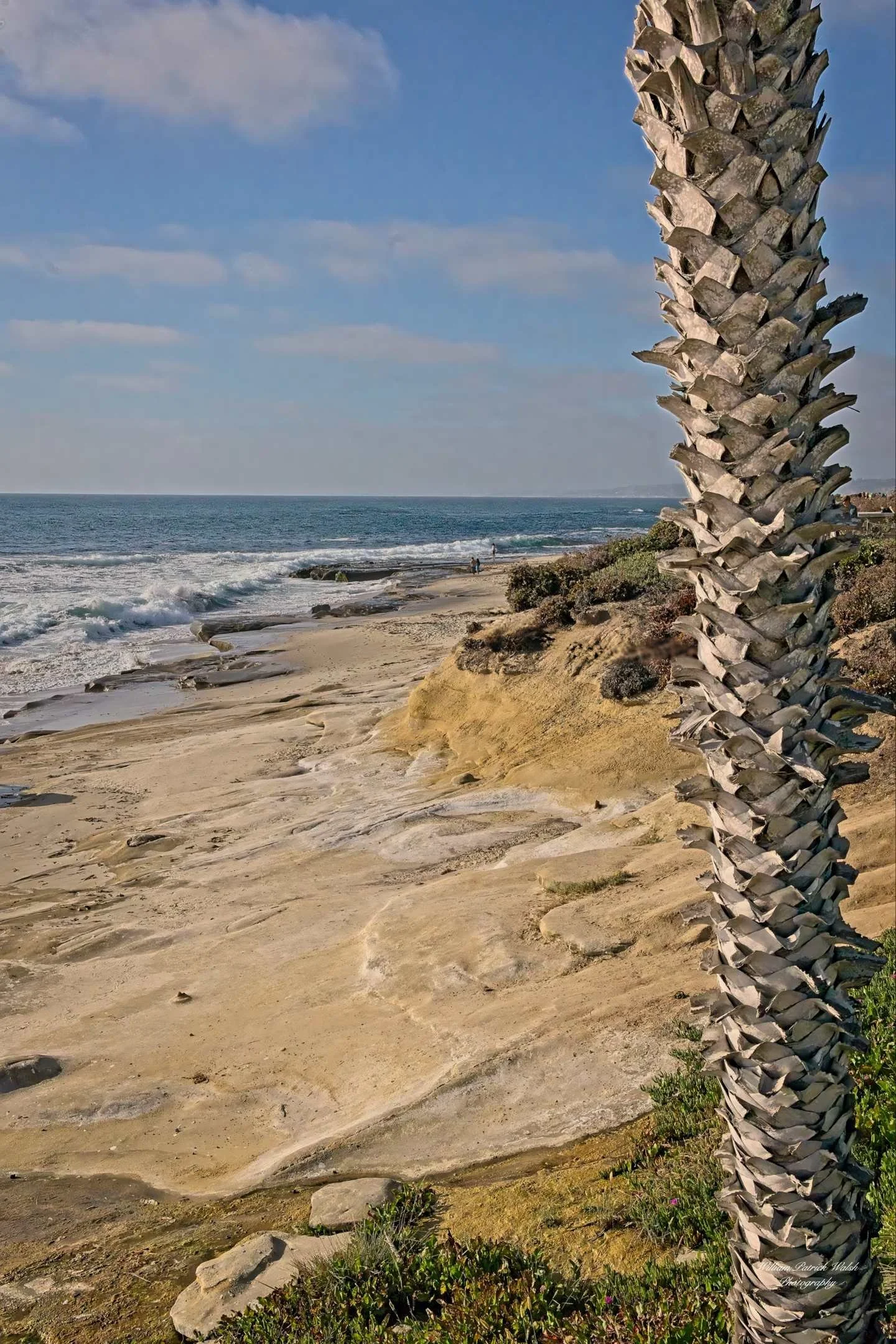 La Jolla Beach 3 (18x12)